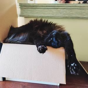 Meet your Posher, Jess